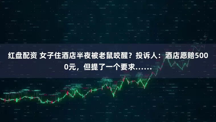 红盘配资 女子住酒店半夜被老鼠咬醒？投诉人：酒店愿赔5000元，但提了一个要求……