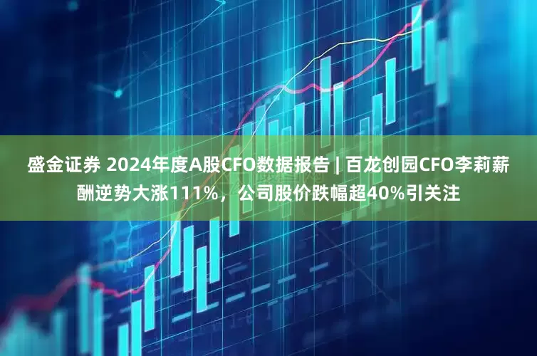 盛金证券 2024年度A股CFO数据报告 | 百龙创园CFO李莉薪酬逆势大涨111%，公司股价跌幅超40%引关注